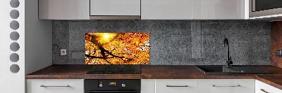 Panel lacobel Koruna stromů podzim
