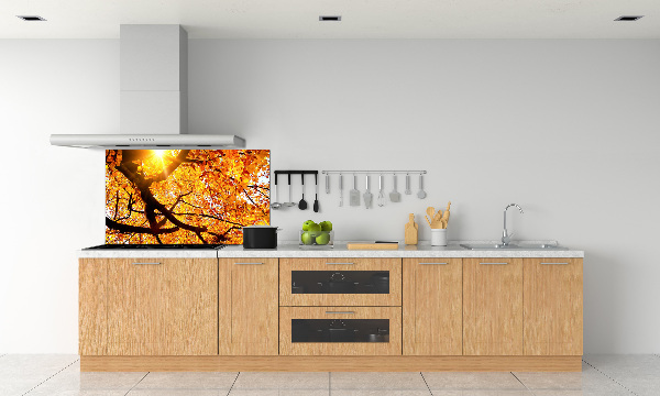Panel lacobel Koruna stromů podzim