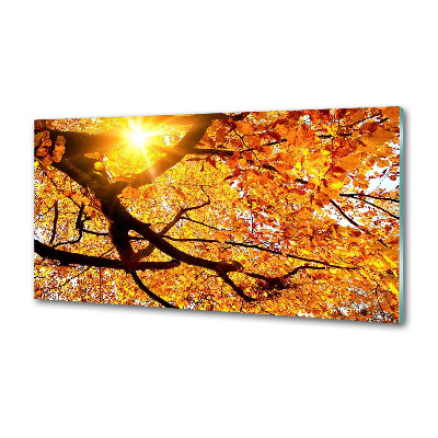 Panel lacobel Koruna stromů podzim
