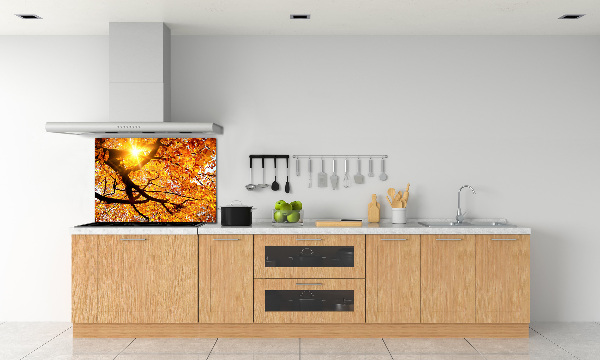 Panel lacobel Koruna stromů podzim