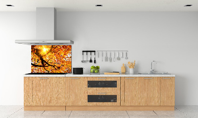 Panel lacobel Koruna stromů podzim