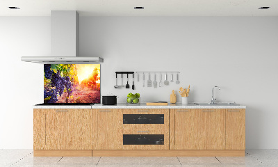 Skleněný panel do kuchynské linky Hrozny a víno
