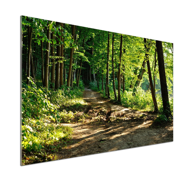 Panel do kuchyně Stezka na louce