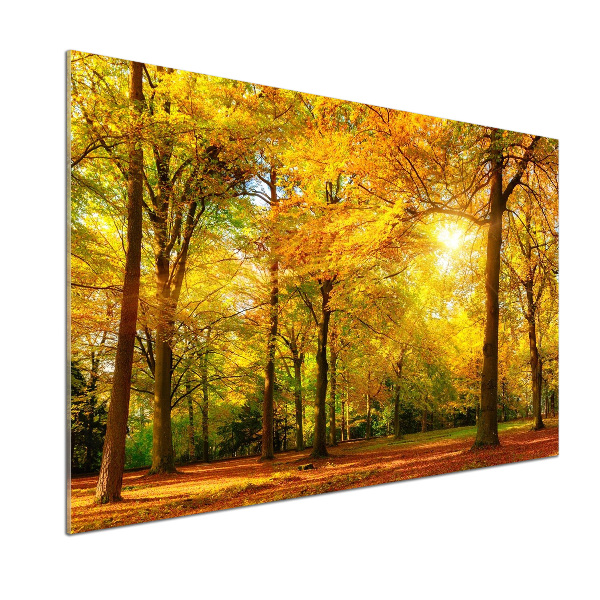 Dekorační panel sklo Podzimní les