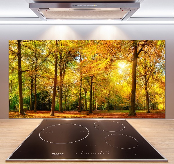 Dekorační panel sklo Podzimní les