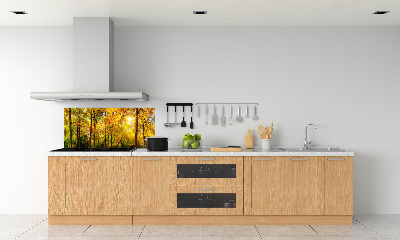 Dekorační panel sklo Podzimní les