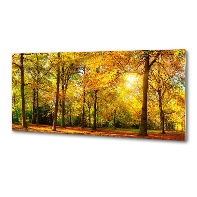 Dekorační panel sklo Podzimní les
