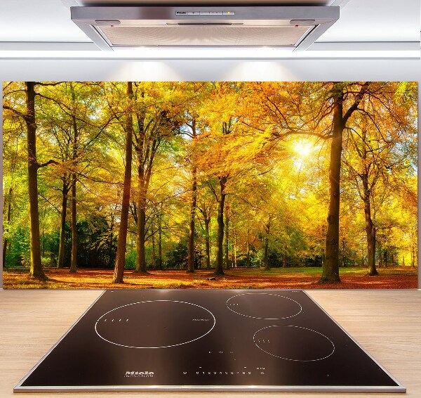 Dekorační panel sklo Podzimní les