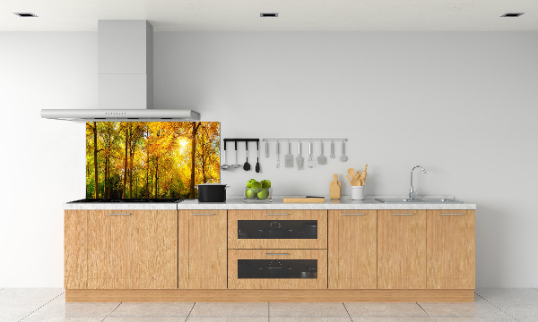 Dekorační panel sklo Podzimní les