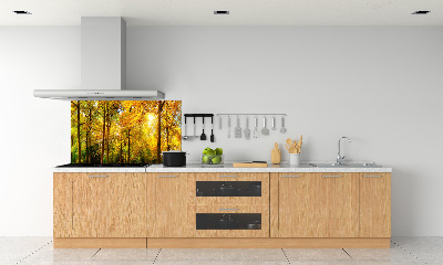 Dekorační panel sklo Podzimní les