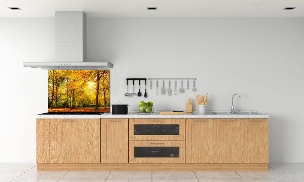 Dekorační panel sklo Podzimní les