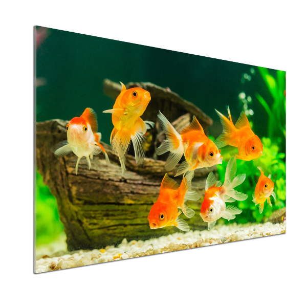 Dekorační panel sklo Zlaté rybky