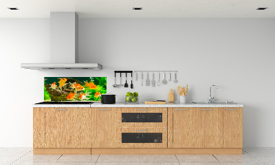 Dekorační panel sklo Zlaté rybky