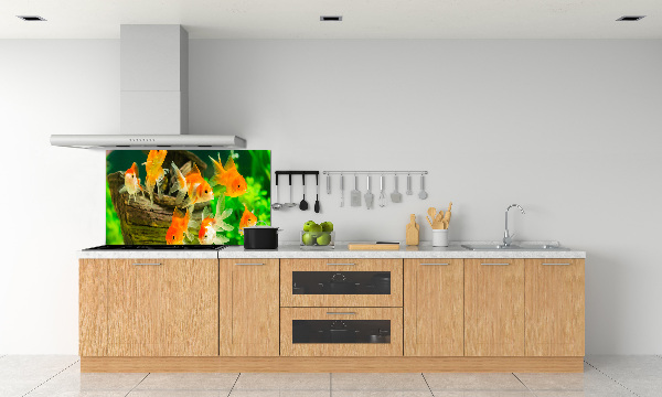 Dekorační panel sklo Zlaté rybky