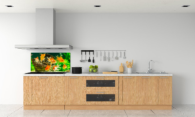 Dekorační panel sklo Zlaté rybky
