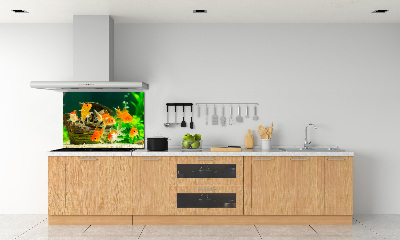 Dekorační panel sklo Zlaté rybky