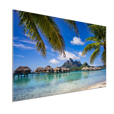 Panel do kuchyně Palmy na Bora Bora