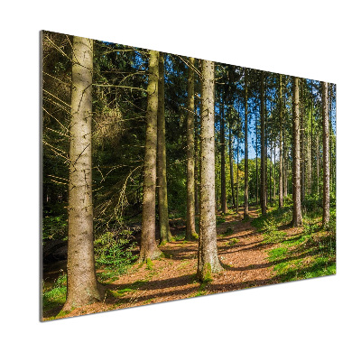 Panel do kuchyně Lesní panorama