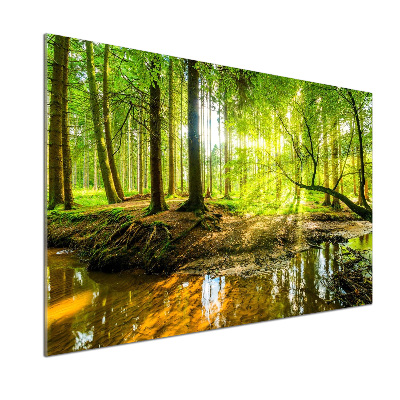 Panel do kuchyně Rybník v lese