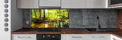 Panel do kuchyně Rybník v lese