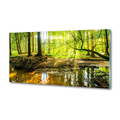 Panel do kuchyně Rybník v lese