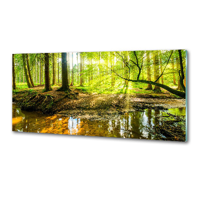 Panel do kuchyně Rybník v lese