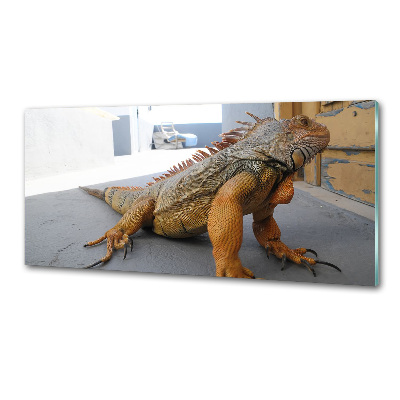 Skleněný panel do kuchyně Iguana