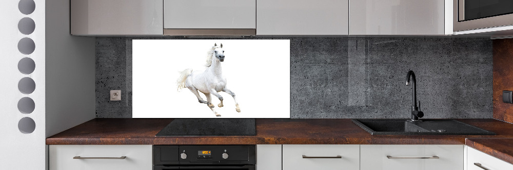 Panel do kuchyně Bílý arabský kůň