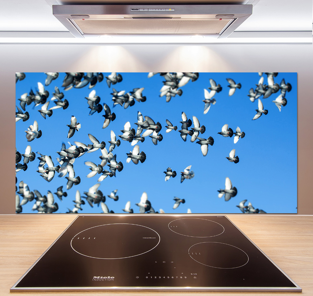 Dekorační panel sklo Stádo holubů