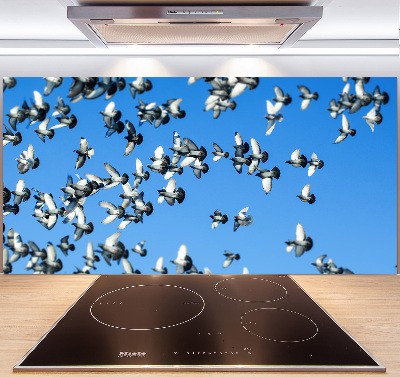 Dekorační panel sklo Stádo holubů