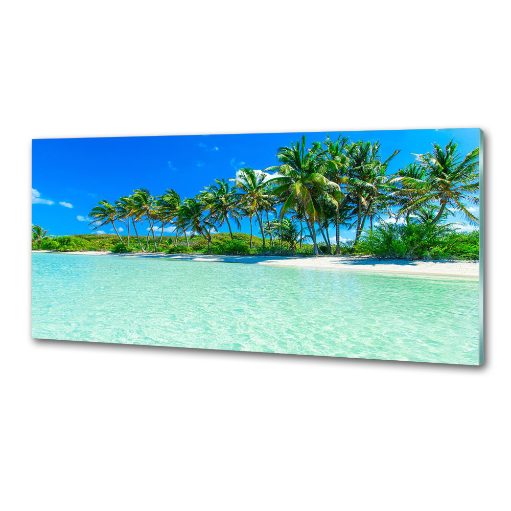 Panel do kuchyně Tropická pláž