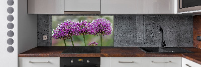 Panel do kuchyně Květ česneku