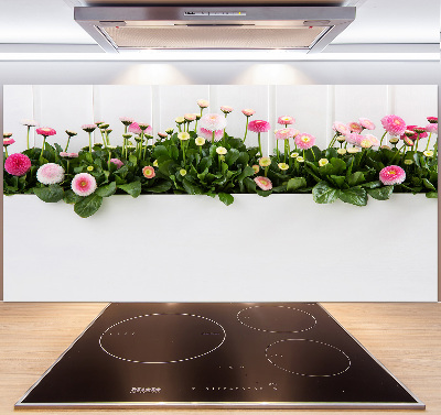 Panel do kuchyně Růžové sedmikrásky