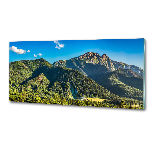 Panel do kuchyně Panorama Tater
