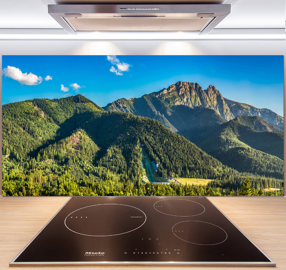 Panel do kuchyně Panorama Tater