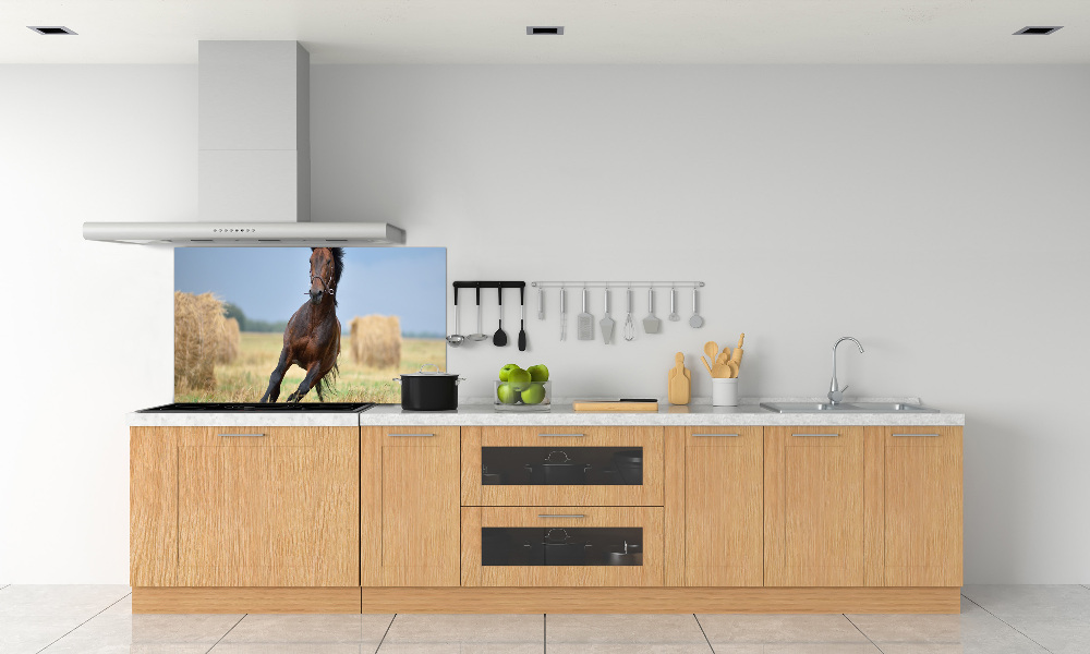 Panel do kuchyně Kůň ve cvalu