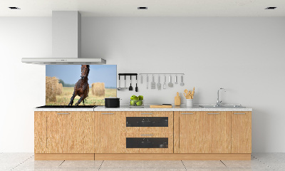 Panel do kuchyně Kůň ve cvalu