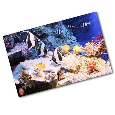 Kuchyňská deska skleněná Korálový útes