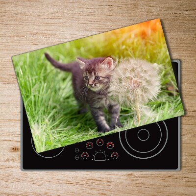 Kuchyňská deska skleněná Kočka a pampeliška