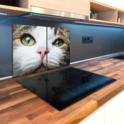 Kuchyňská deska skleněná Zelené kočičí oči