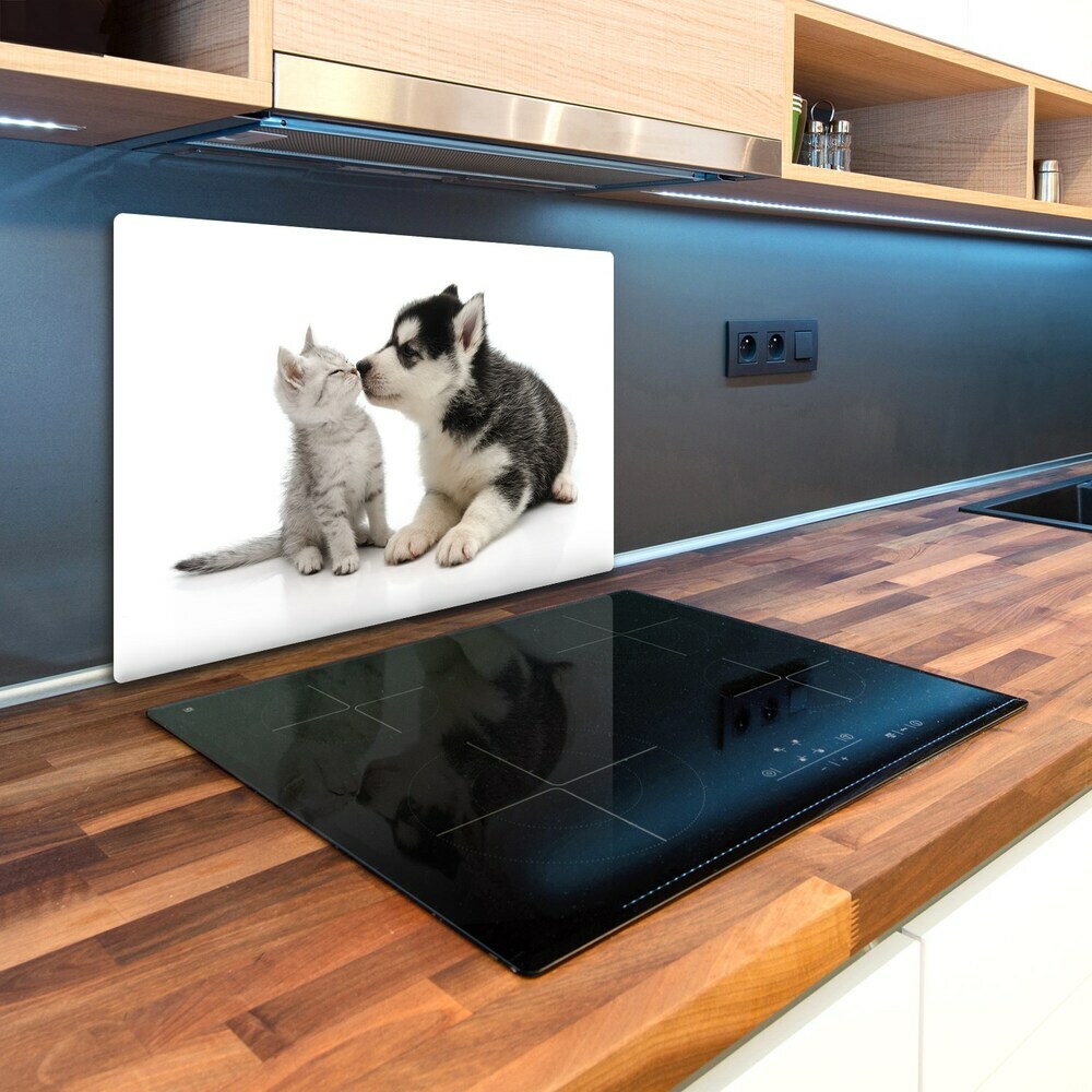Kuchyňská deska skleněná Pes a kočka