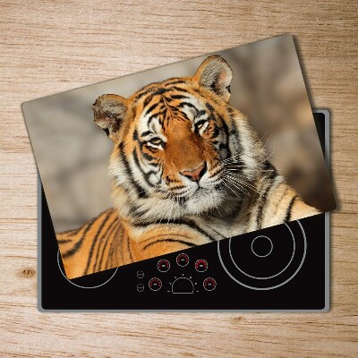 Kuchyňská deska skleněná Bengálský tygr