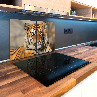 Kuchyňská deska skleněná Bengálský tygr