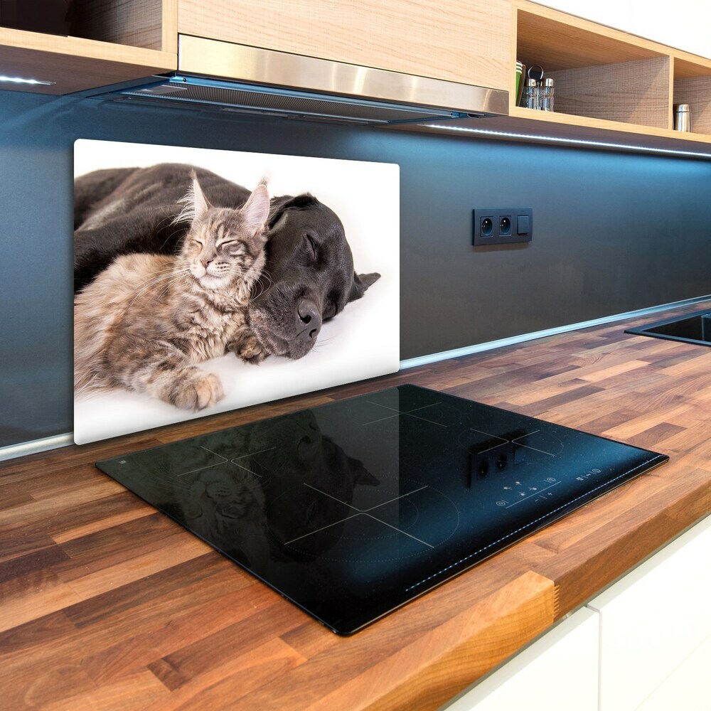 Kuchyňská deska skleněná Pes s kočkou