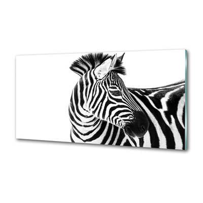 Panel do kuchyně Zebra ve sněhu