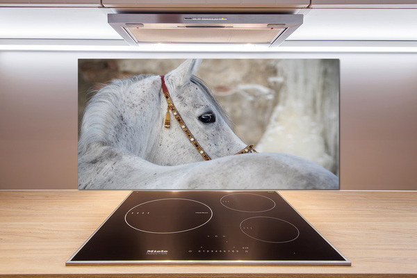 Panel do kuchyně Bílý arabský kůň
