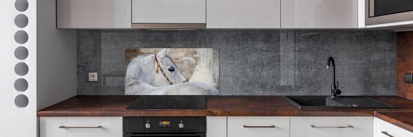Panel do kuchyně Bílý arabský kůň
