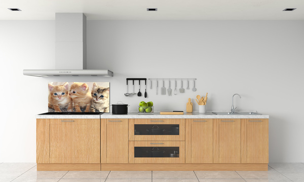 Skleněný panel do kuchynské linky Malé kočky