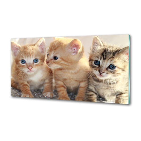 Skleněný panel do kuchynské linky Malé kočky