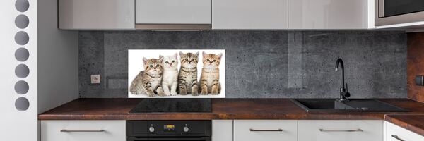 Skleněný panel do kuchynské linky Malé kočky